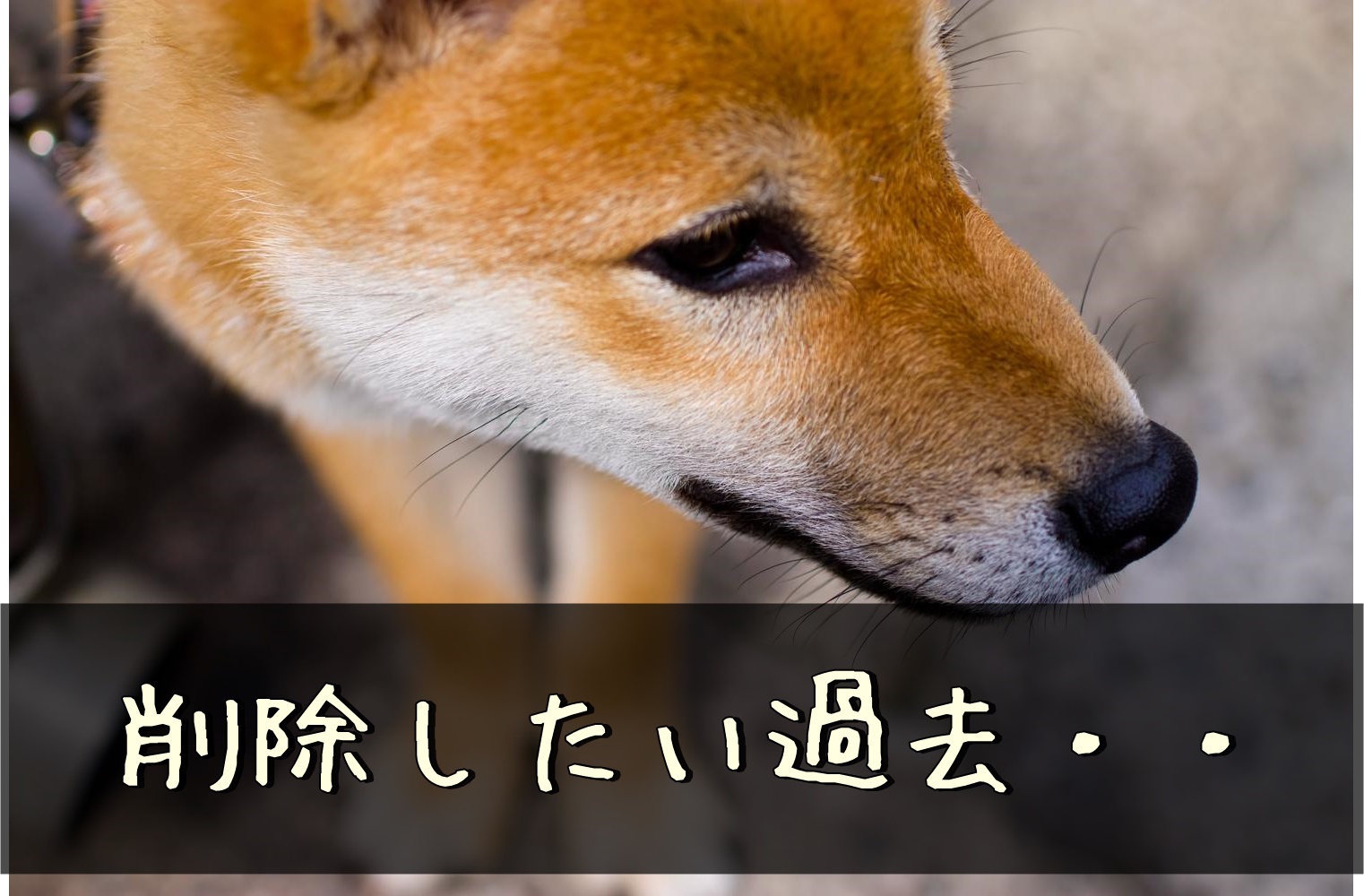 LINEでKeepに保存する方法（画像・テキスト・ファイル・ボイスメッセージ）