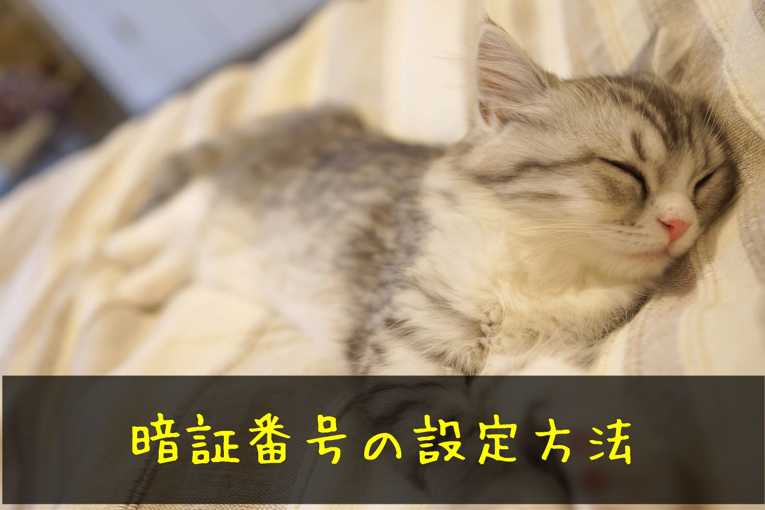 LINEPayカードで「利用開始手続きに失敗しました」と表示される