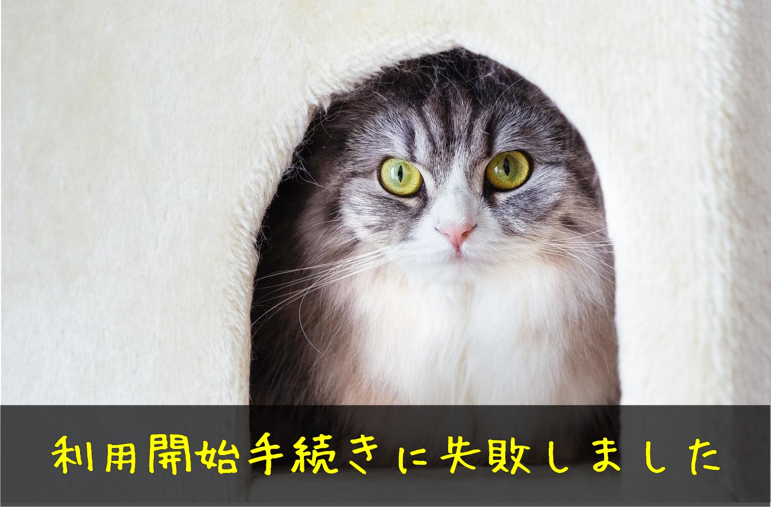 LINEPayカードで「利用開始手続きに失敗しました」と表示される