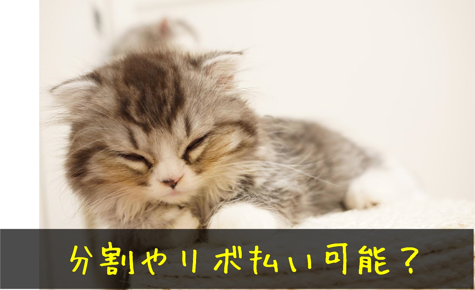 LINEPay支払いで企業公式アカウント通知がウザい！勝手に友達追加される時の対策