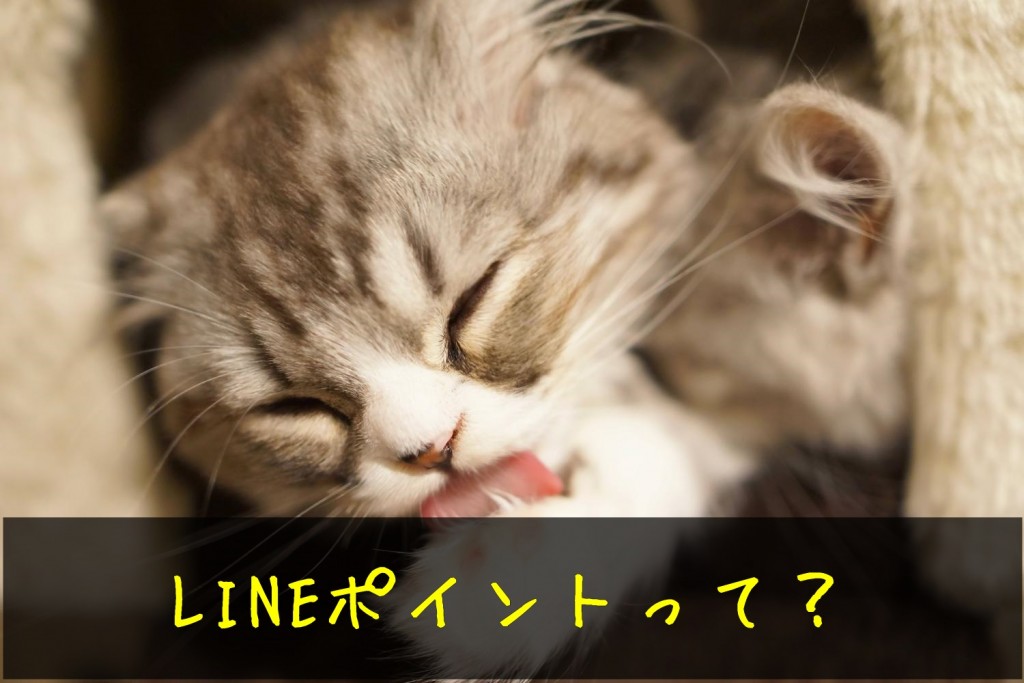 LINEポイントとは?使い方と貯め方や有効期限