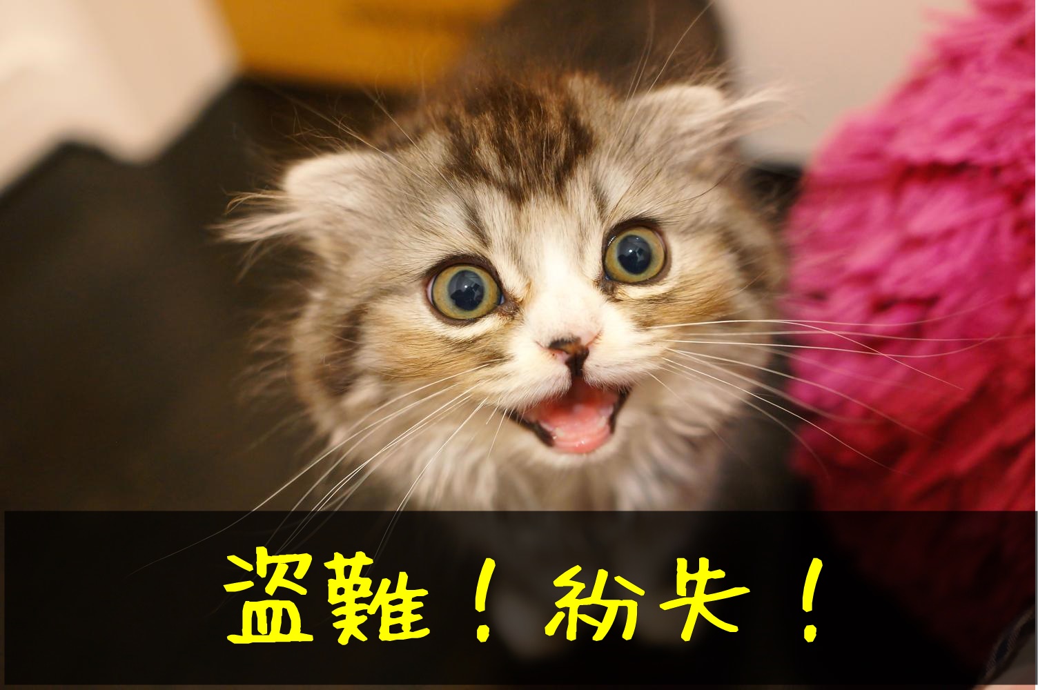 LINEPayカードを紛失・盗難した時の解決策！警察に紛失届を出すべき？