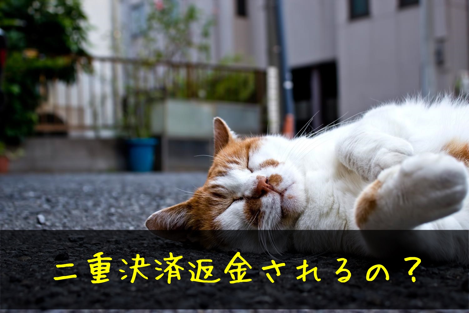 LINEPayカードとは？使い方やチャージ・使える店舗！現在は募集終了