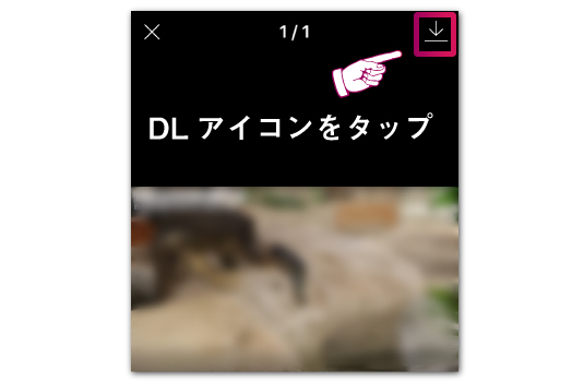 Lineタイムラインの動画 画像保存方法 保存で相手にバレる 通知は Lineアプリの使い方 疑問解決マニュアル Line活用ガイド